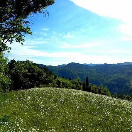 Gorgeous Valley View In Appartamento *
