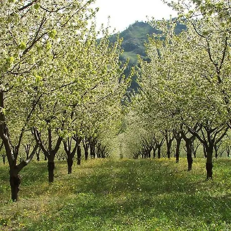 Appartamento Gorgeous Valley View In Modigliana