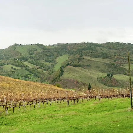Gorgeous Valley View In *