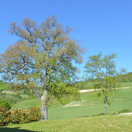 Gorgeous Valley View In *
